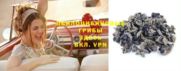 стаф Новодвинск