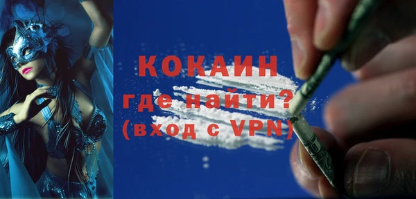 стаф Новодвинск