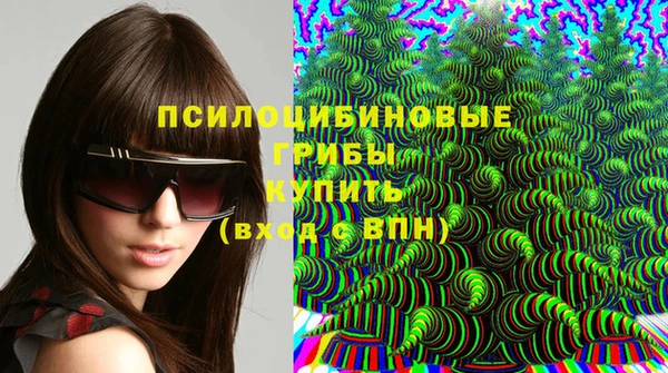 стаф Новодвинск
