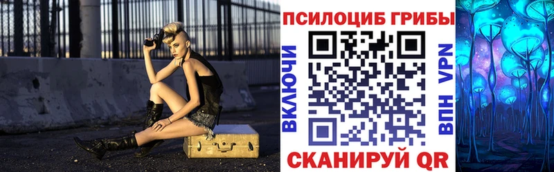 Галлюциногенные грибы Psilocybine cubensis это какой сайт Карталы