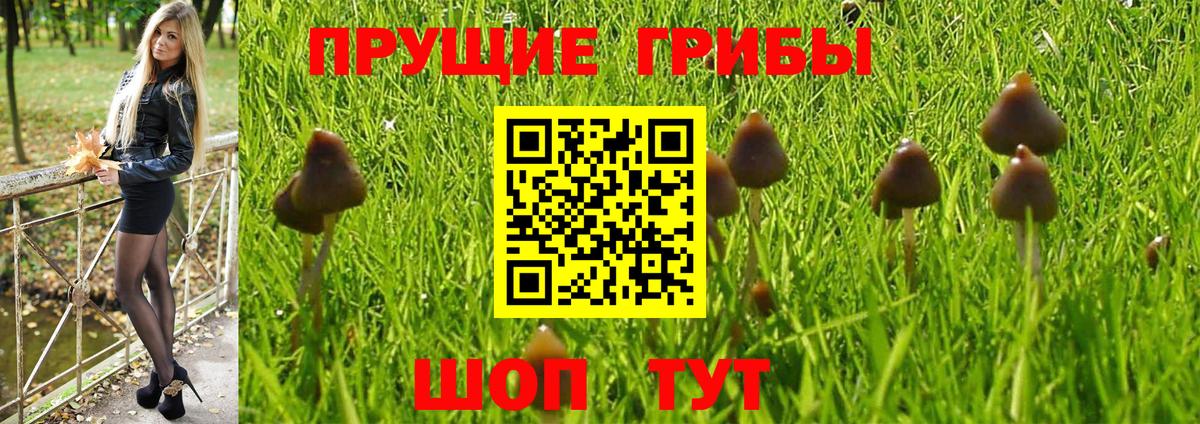 Галлюциногенные грибы ЛСД Карталы