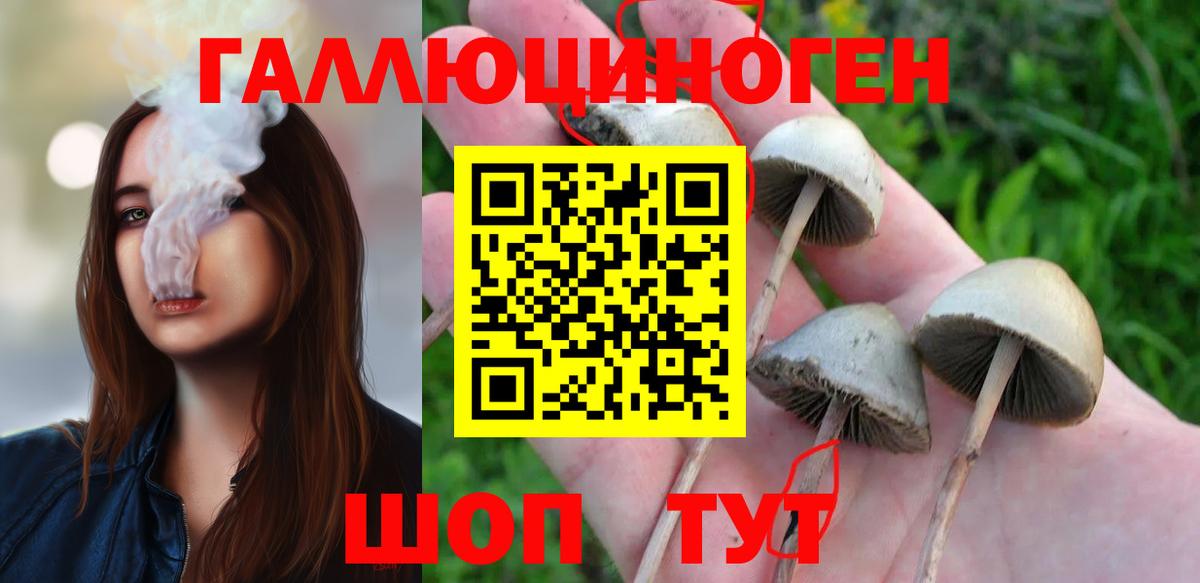 Галлюциногенные грибы прущие грибы Карталы