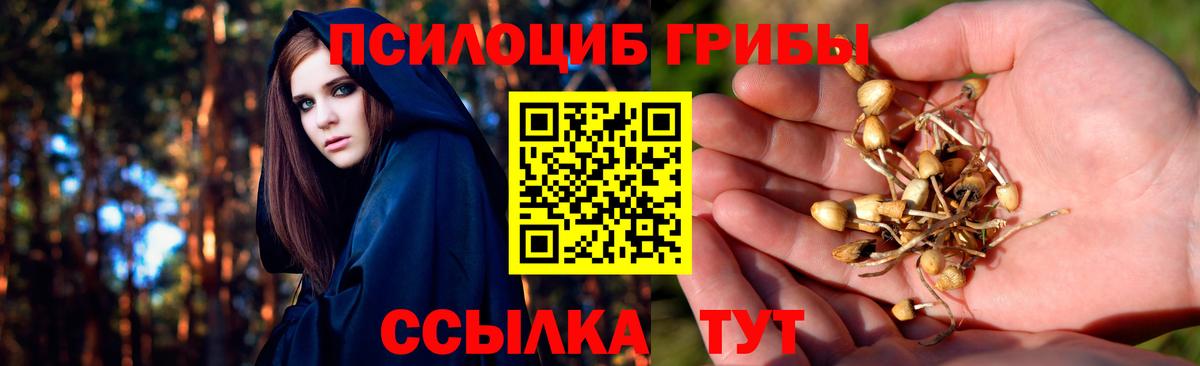 Псилоцибиновые грибы Cubensis  купить  цена  Карталы  Псилоцибиновые грибы ЛСД 